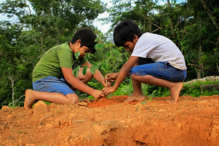 Why We Need More Trees